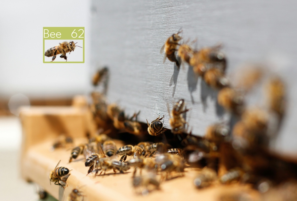 Bee Run Apiculture - cartographie disponibilité alimentaire La Réunion